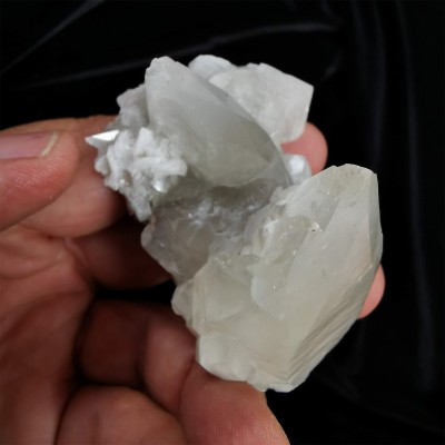 Comprar Trilobite Diacalymene Ouzreguide colección - BOX-002-002