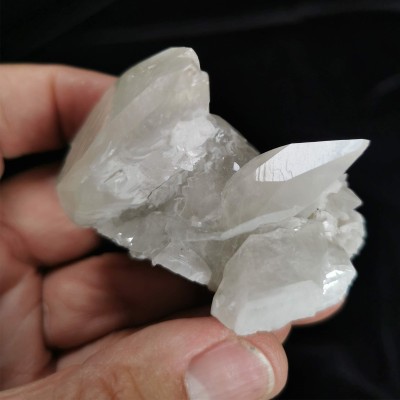 Comprar Trilobite Diacalymene Ouzreguide colección - BOX-002-002