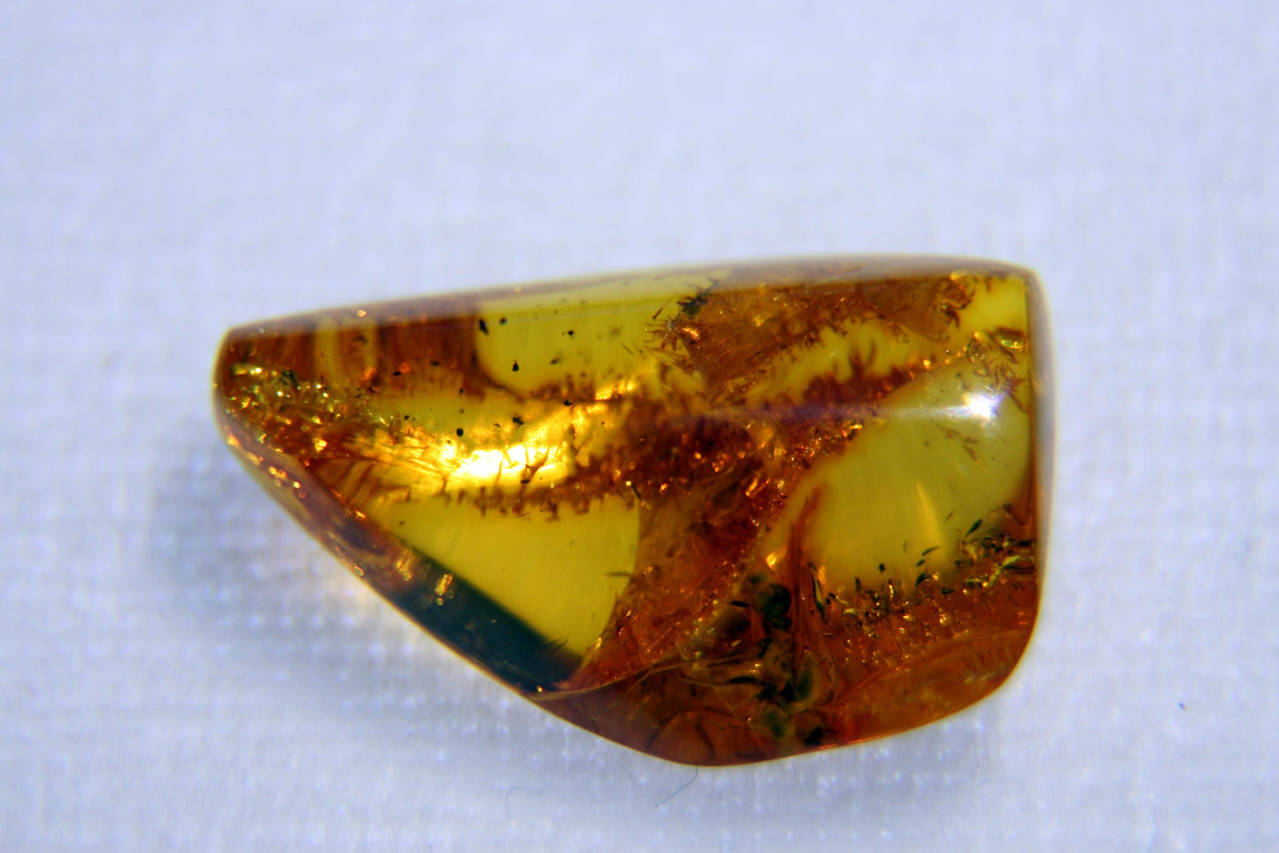 Amber with insect