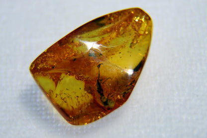 Amber with insect