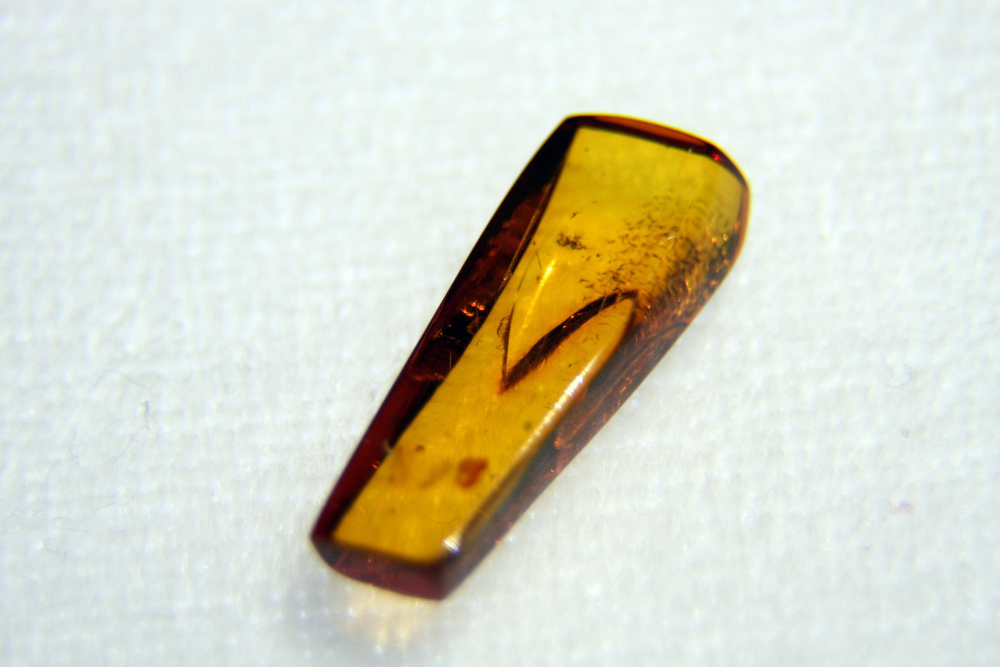 Amber with insect