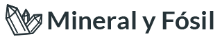Mineral y Fósil